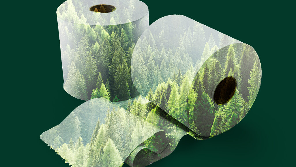 Sustainability as a Standard